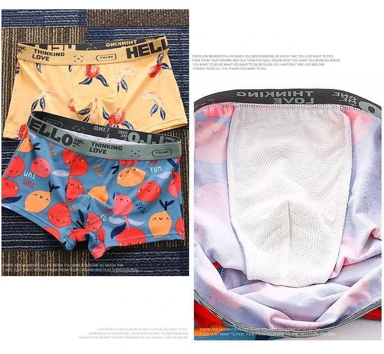 Paquete de 1/2/4 Calzoncillos  - Boxer Brief Pack Cotton reseña y precio